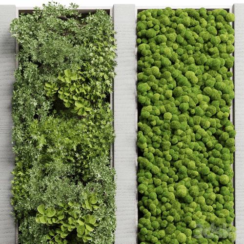 Concrete frame Vertical garden plant and moss garden wall decor box 66