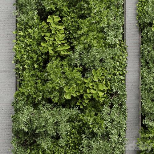 Concrete frame Vertical garden plant and moss garden wall decor box 66