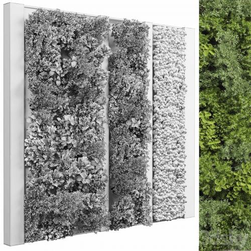 Concrete frame Vertical garden plant and moss garden wall decor box 66