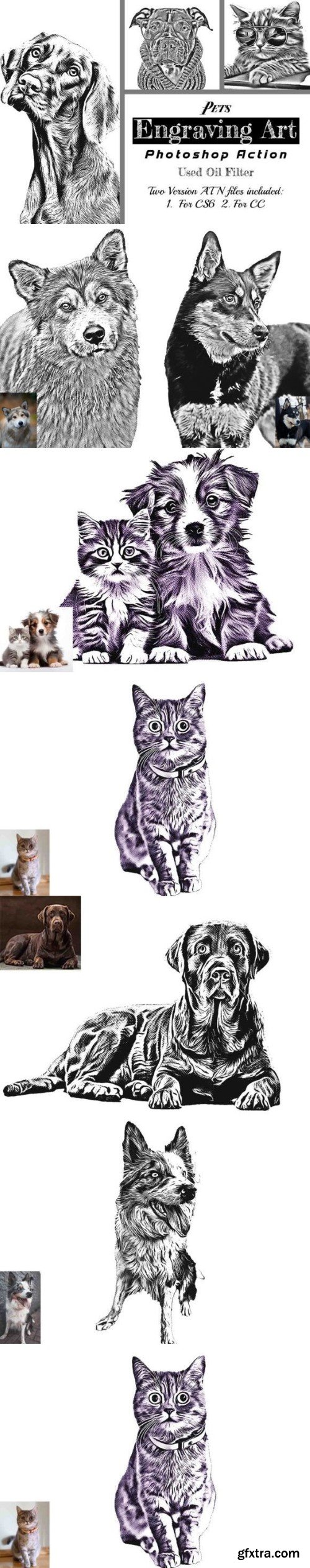 Pets Engraving Art Photoshop Action