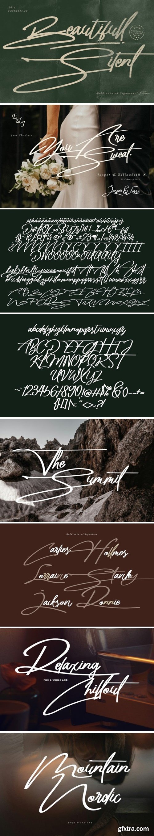 Beautifull Silent Font