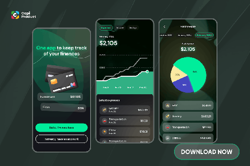 Money Management App Design Concept