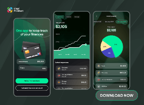 Money Management App Design Concept