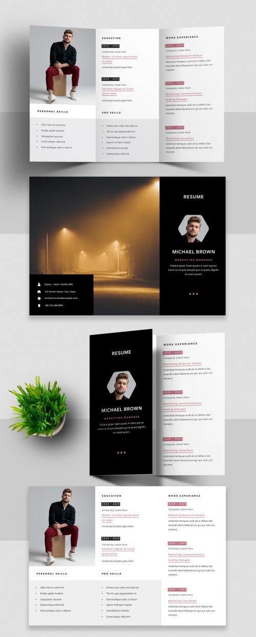 Resume Trifold Brochure Layout - 407064137