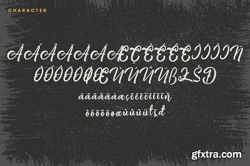 The Rustic - Script Font 8FR99BC