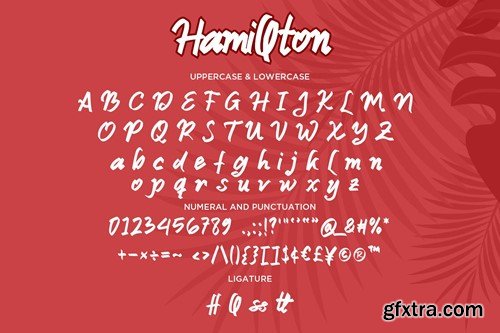 Hamillton - Handwritten Script fonts 7MG2J8A