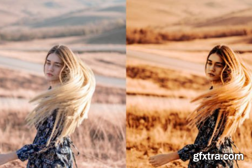 Earthy Pro Lightroom Presets