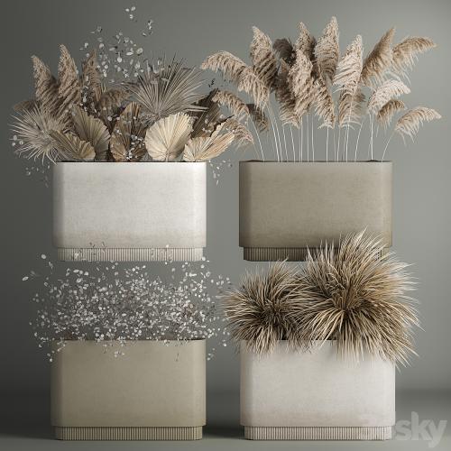 Collection of plant bouquets of dried flowers, moonflower, dry palm branches, dry grass, natural decor .1121.