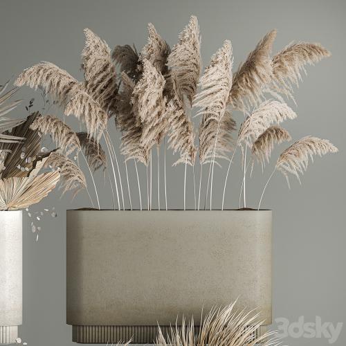 Collection of plant bouquets of dried flowers, moonflower, dry palm branches, dry grass, natural decor .1121.