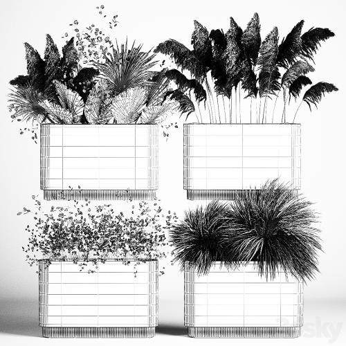 Collection of plant bouquets of dried flowers, moonflower, dry palm branches, dry grass, natural decor .1121.