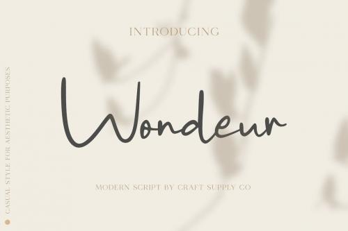 Wondeur - Modern Script Font