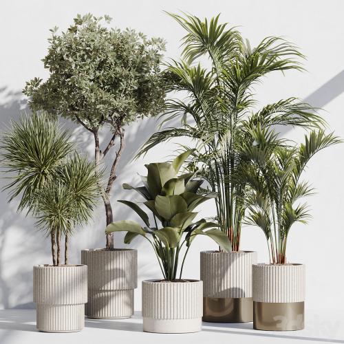 indoor plant set 78