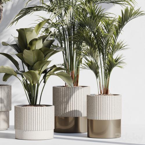 indoor plant set 78