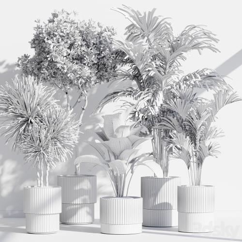 indoor plant set 78