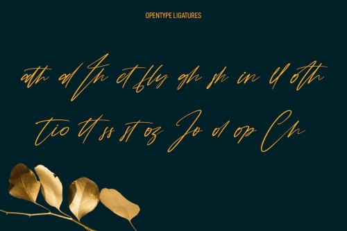 Blitz Pops Signature Script Font