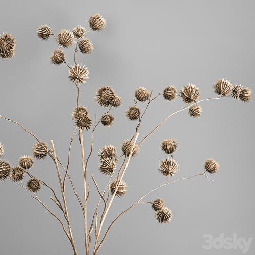 Bouquet of dried flowers in a vase with branches of dry thorns thistle . 182.