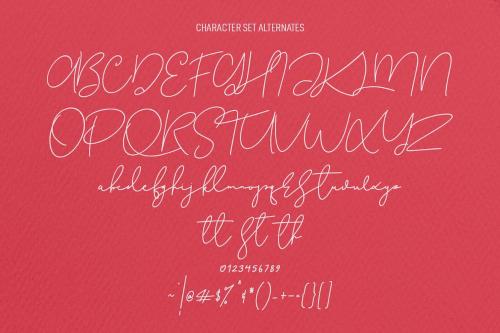 Christie Dianna Font