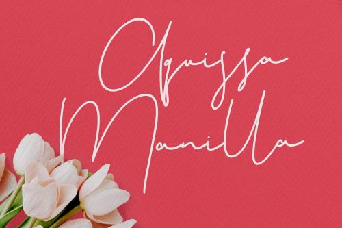 Christie Dianna Font