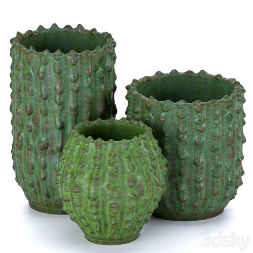 Decorative vases Cactus