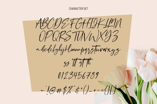 Claudio Wings Feminine Signature Script Font