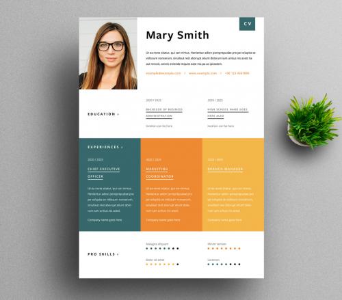 Modern Resume Layout with Organized Columns - 416401709