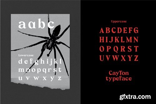 Cayton - Vintage Sharp Serif Font CD5NKY3