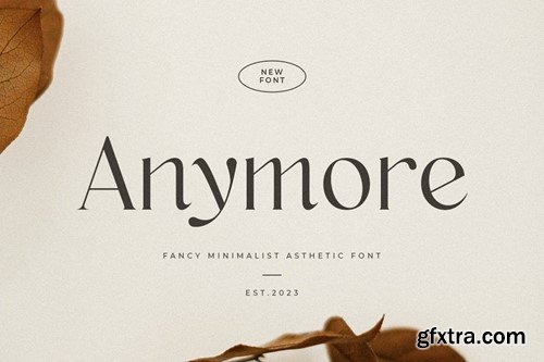 Anymore - Fancy Minimalist Aesthetic Font 92RSVS8