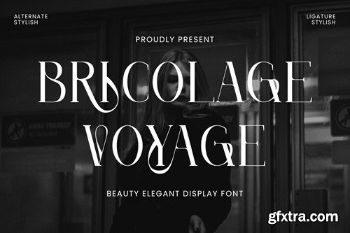 Bricolage Voyage - Elegant Display Font PKA4KQB