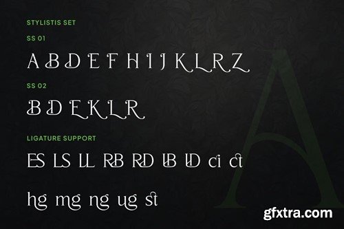 King Miles - Elegant Serif Font YBA77DS