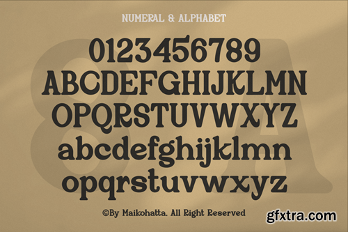 Gruyila - Classic Serif Typeface V95DTZ3