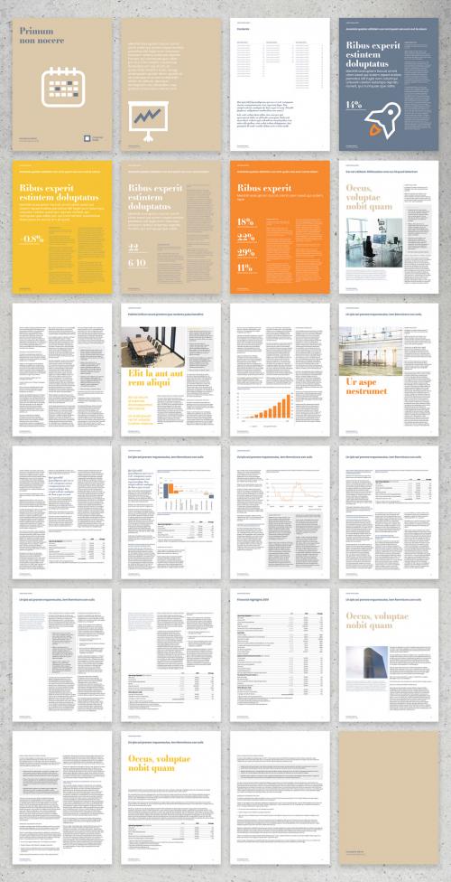 Minimalist Digital Annual Report Layout - 419244521