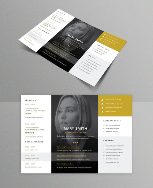 Resume Layout with Big Placeholder Photo and Gold Accent - 420564564