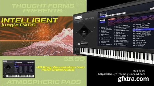 Thought-Forms Intelligent Jungle Pads Vol 1 Korg Wavestation PRESETS