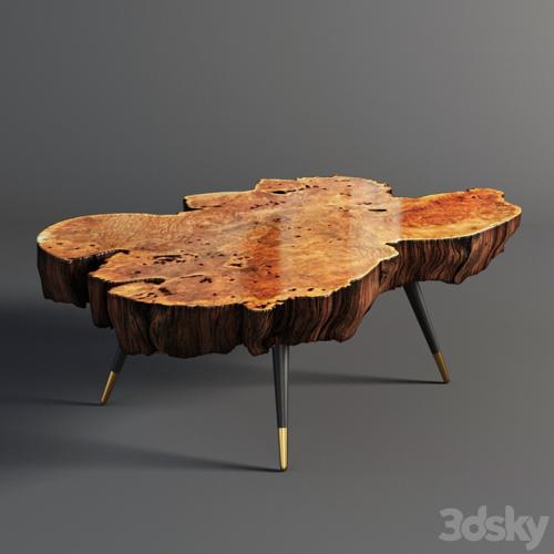 Wood slab coffee table