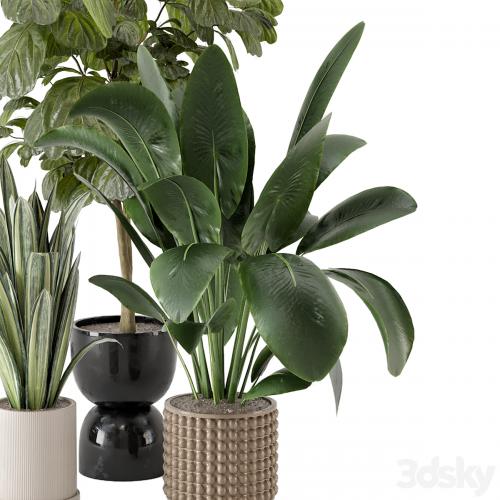 Indoor Plants in Ferm Living Bau Pot Large - Set 1044