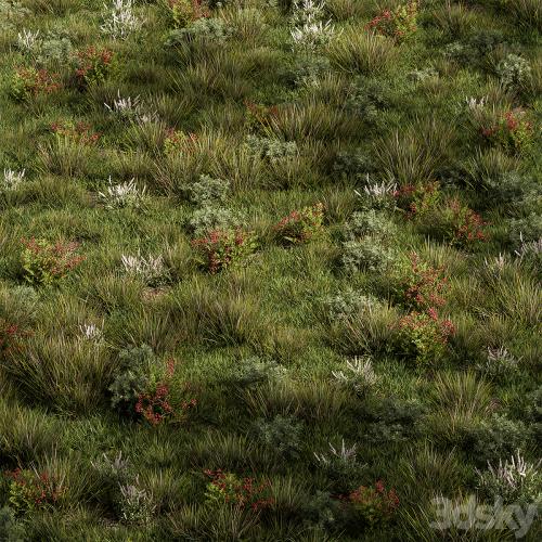 Nature Meadow - Grass Set 17