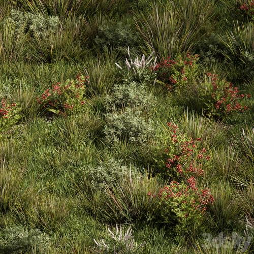 Nature Meadow - Grass Set 17