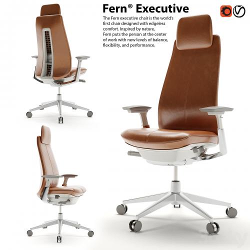 Haworth Fern Executive armchair