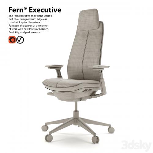 Haworth Fern Executive armchair