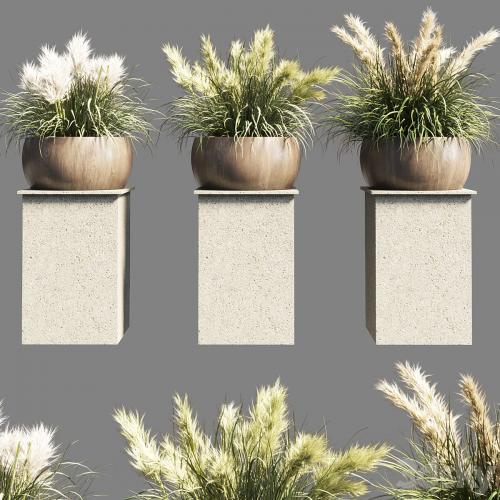 Collection outdoor indoor 70 pot palnt grass the dry pampas stand vase wooden