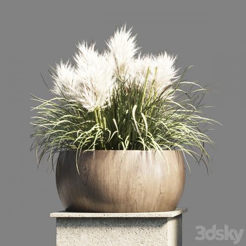 Collection outdoor indoor 70 pot palnt grass the dry pampas stand vase wooden