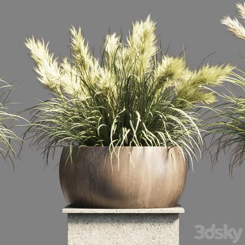 Collection outdoor indoor 70 pot palnt grass the dry pampas stand vase wooden