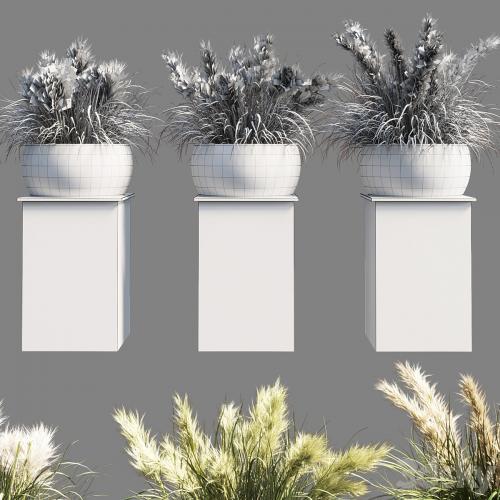 Collection outdoor indoor 70 pot palnt grass the dry pampas stand vase wooden