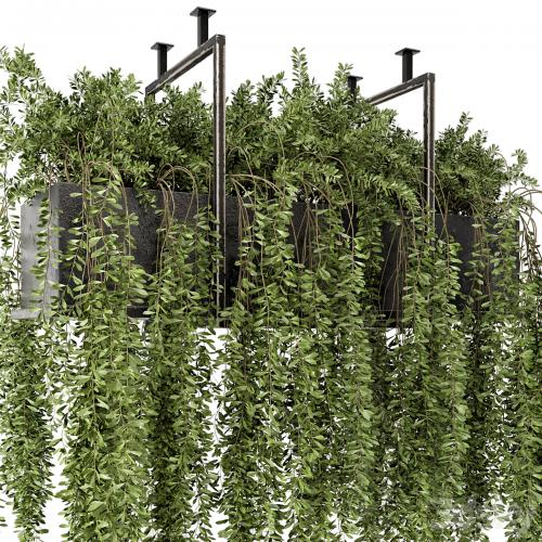 Indoor Hanging Plants in Metal Box - Set 303