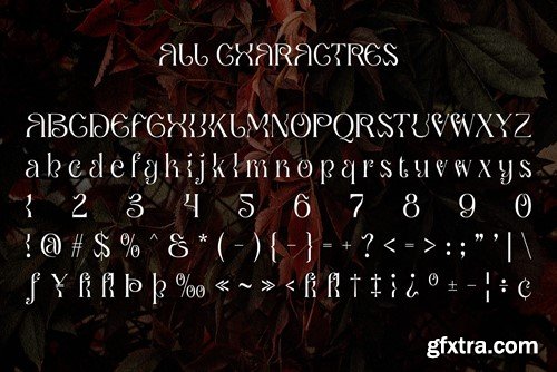 Qaila – Serif Typeface K7KA2NL