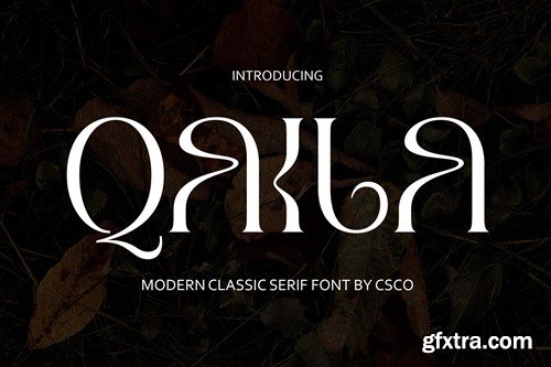 Qaila – Serif Typeface K7KA2NL