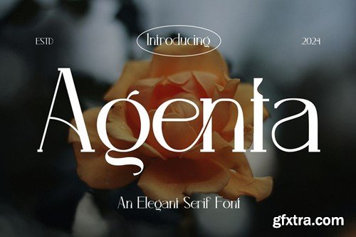 Agenta - Elegant Serif Font F59XD2R