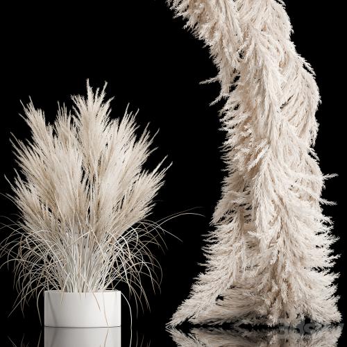 Wedding arch for decoration and decoration of the celebration with a bouquet of white pampas grass and dry palm branches
