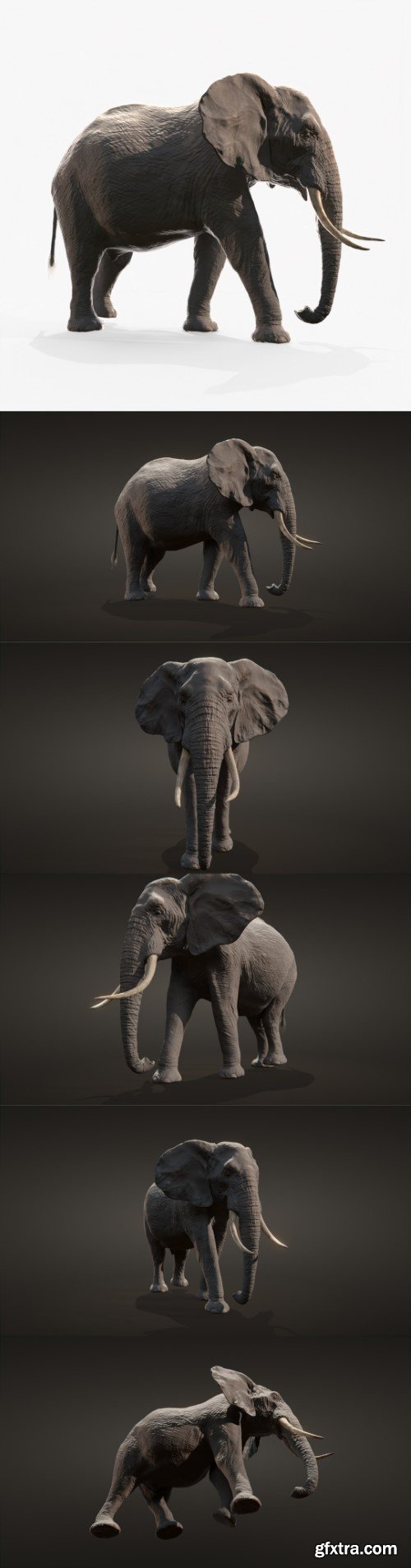 Turbosquid - African elephant