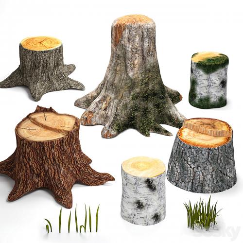 Tree stumps collection & grass